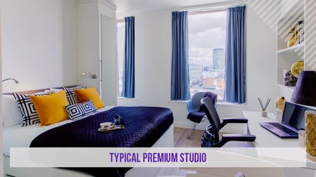 Premium Plus Studio - Photo 2