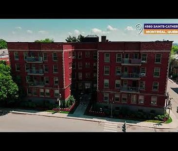 4560 Sainte-Catherine Street W, Montréal, QC - Photo 6