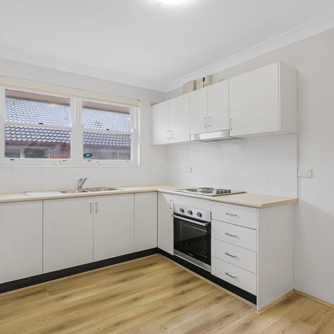 Sun Filled, Freshly Painted Two Bedroom Apartment - Photo 1