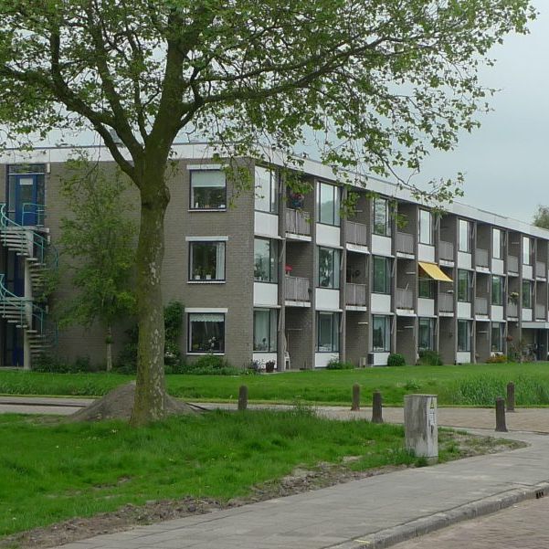 Orxmasingel 58 - Photo 1