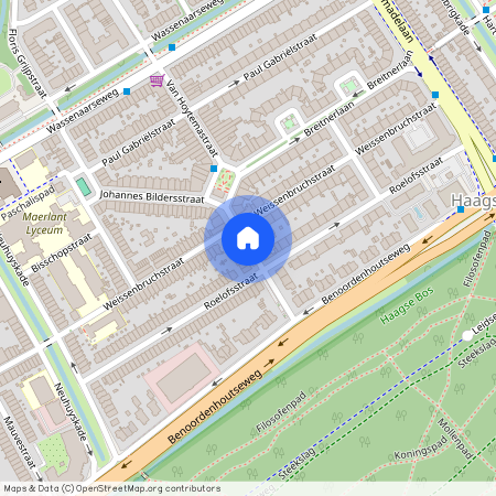 Van Hoytemastraat en omgeving, 2596 GP, Den Haag