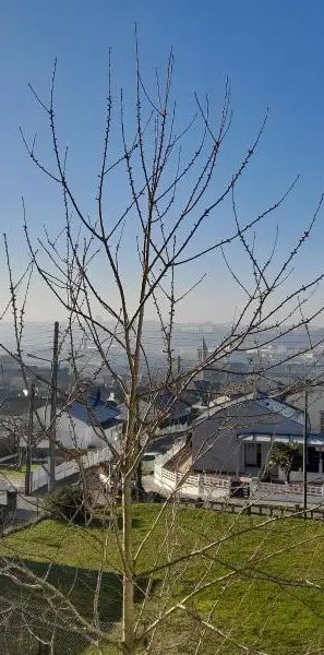 Appartement à louer 3 pièces 54.3m² - Photo 1