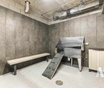 215/58 Myrtle Street, Ivanhoe VIC 3079 - Apartment For Rent | Domain - Photo 3