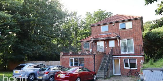 1 bedroom in a house share to rent - Photo 3