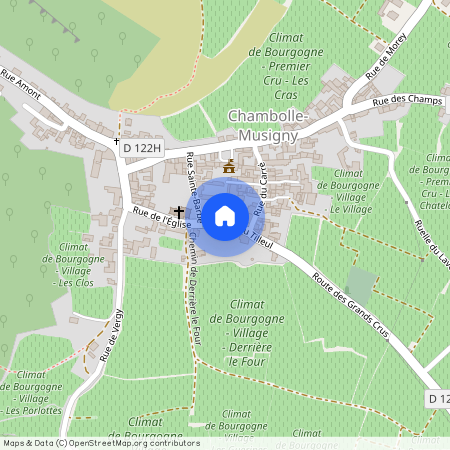 Chambolle Musigny, - 21220