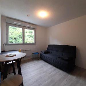 Location Appartement 1 pièce 20m² CALUIRE ET CUIRE 69300 - Photo 2