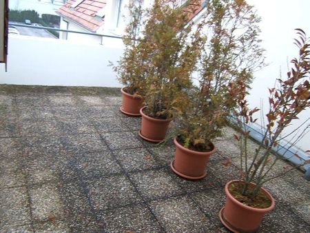 Location Appartement 3 pièces 75m² STRASBOURG 67000 - Photo 5