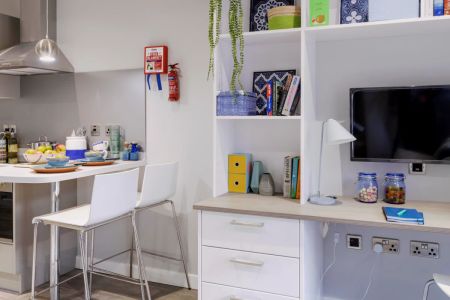Premier Studio (with dishwasher) - Photo 3