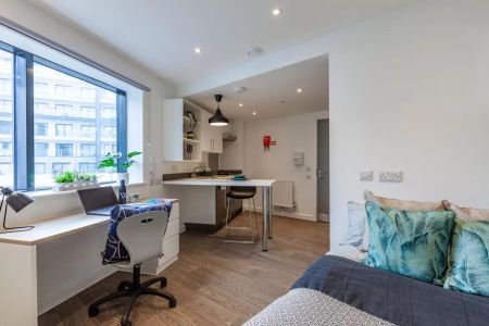 Classic Studio - Photo 5