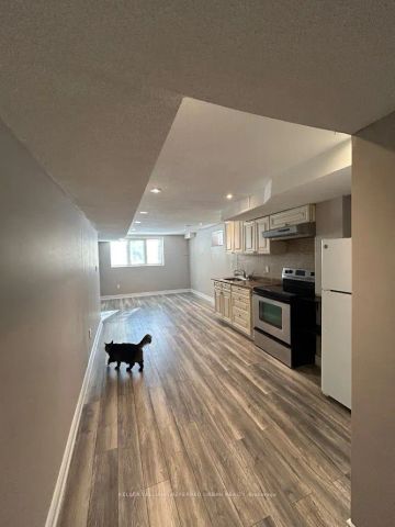 43 Littleriver Court #Lower - Photo 3