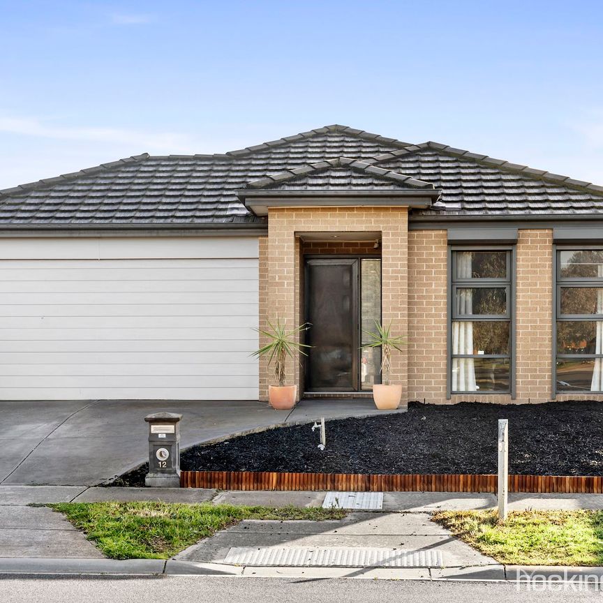 12 Triandra Drive, - Photo 1