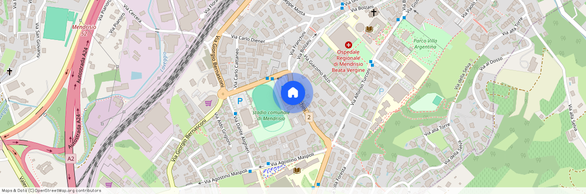 via Franchini 11, 6850 Mendrisio