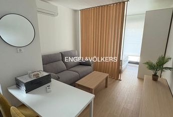 San Cristóbal de La Laguna, Canary Islands