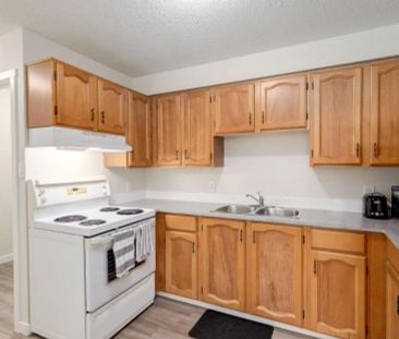 - 1 Bedroom at Matichuk - Photo 5