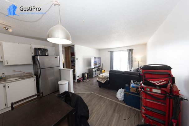 16 Tanguay - Photo 1