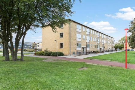 Afd. 50 Glarbjergvej - Nørrebrogade - Foto 5