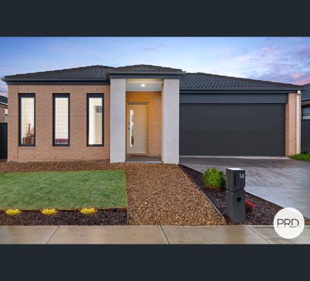 14 Cassowary Way, Winter Valley, Vic 3358 - Photo 2