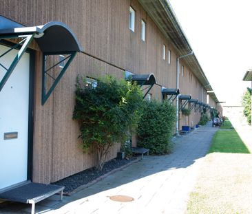 Frydenhøjparken, 135, st. th., Hvidovre, 2650 - Photo 1