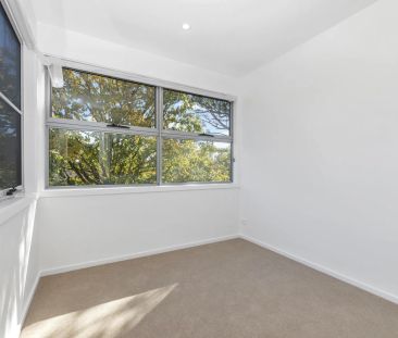 Stylish Two-Level Townhouse in Boutique Woden Valley Complex - Photo 4