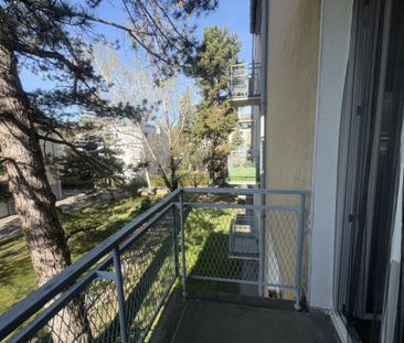 Natürlich beschattete 2 Zimmer mit Balkon und separater Küche - Photo 5