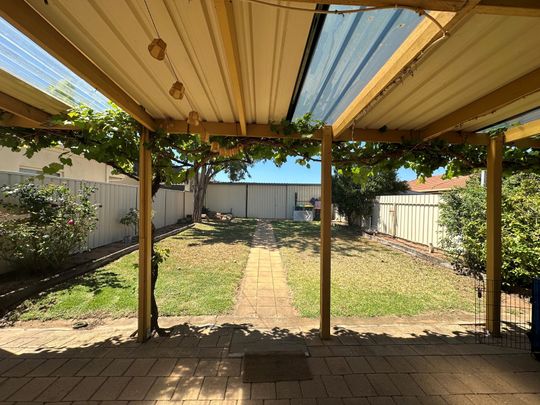 120 Olive Avenue, 3500, Mildura Vic - Photo 1