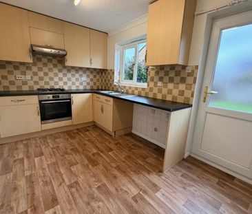 Blackthorn - Photo 5