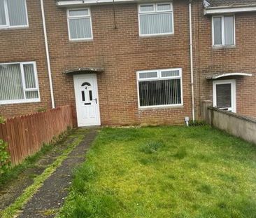 4 Edphil Court, Langley Road, Ballynahinch, BT24 8DG - Photo 2