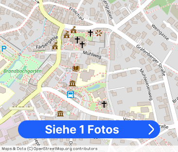 4 1/2 Zim.-Wohnung mit Terrrasse + Garten - Foto 1