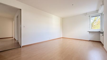 Gepflegte Liegenschaft an ruhiger Seitenstrasse - Photo 3