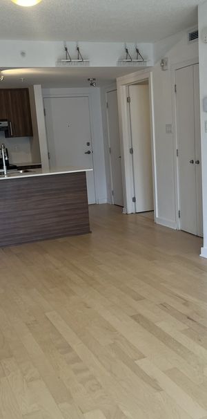 Jolie Studio De 420pc A Ahuntsic - Photo 1