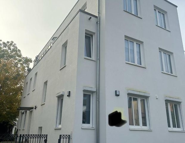 *Rosenau/Hanau* Schöne 1 Zimmer Basement Wohnung in einem gepfleg - Foto 1