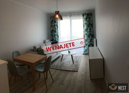 Do wynajęcia 2 pokoje 41m2 ul. Powstańców Śląskich - Zdjęcie 5