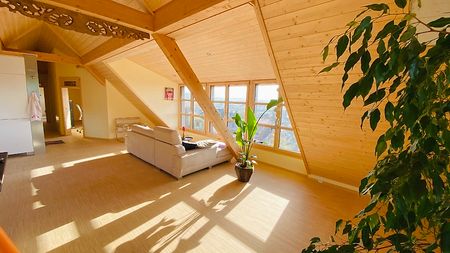 3½ Zimmer-Wohnung in Oberbuchsiten (SO), möbliert - Photo 4
