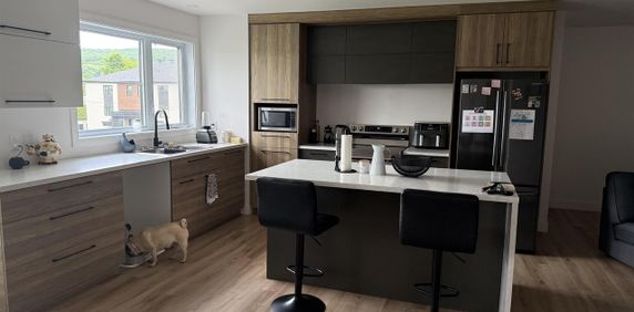 Victoriaville – Spacieux appartement 4 1/2 à louer mois d’août GRATUIT!!! - Photo 2