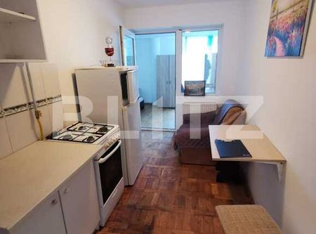 Apartament cu 1 camera, 25 de mp, pet friendly, zona Iulius Mall - Photo 5