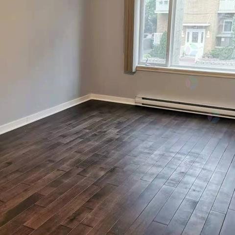 Rue Ste-Hélène, J4K 3S7, Longueuil - Photo 1