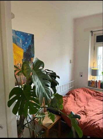 Chambre Meublée Erik de Roodestraat, Amsterdam - À Louer - Foto 3