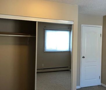 Amazing 2 Bedroom Top Floor Apartment!! - Photo 3