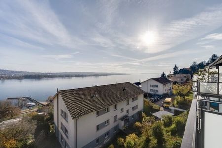 Belle vue sur les Alpes / le lac et coin salon dans le jardin - Photo 5