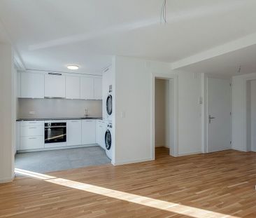 First rental – 2 balconies - Photo 3