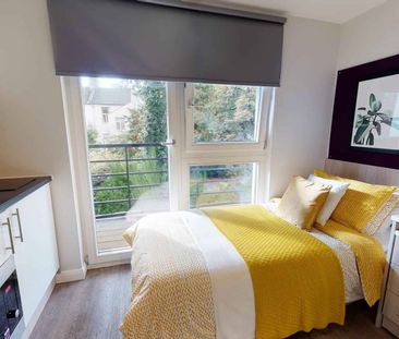 Gold Studio Plus - Photo 4