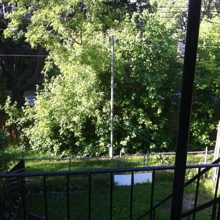 🔥 PRIX AUBAINE – 995 $ – 3½ ROSEMONT – 5 MIN DU MÉTRO JOLIETTE – ANIMAUX ACCEPTÉS 🔥 LIBRE IMMÉDIATEMENT - Photo 4