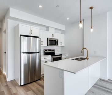 Jersey: Gold Accents – 196 Colony, Winnipeg, MB - Photo 1