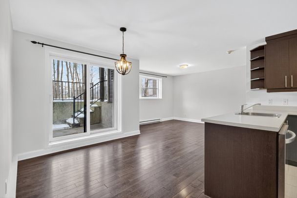 9085 Rue des Outardes, #4 - Photo 1