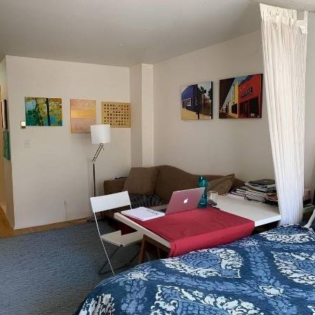 1 BED-RM STUDIO RENTAL /Kitsilano/Greektown/CAT FRIENDLY - Photo 1