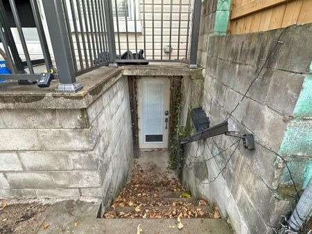 For Lease - 153 Niagara Street Unit# Lower, Toronto, Ontario - Photo 3