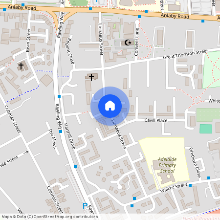 Linnaeus Street, Hull HU3