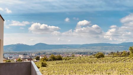 Neubau Erstbezug Gemütliche Drei Zimmer Wohnung mit Balkon und Grünblick - Foto 3