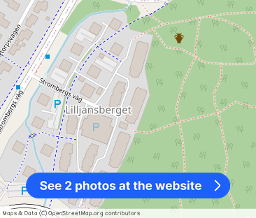 Strombergs Väg 128 - Photo 1