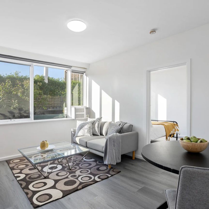 Spacious and sunlit in a sought-after street - Photo 1